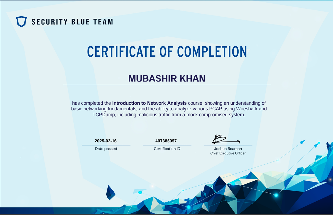 Security Blue Team